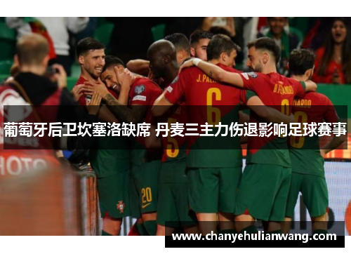 葡萄牙后卫坎塞洛缺席 丹麦三主力伤退影响足球赛事